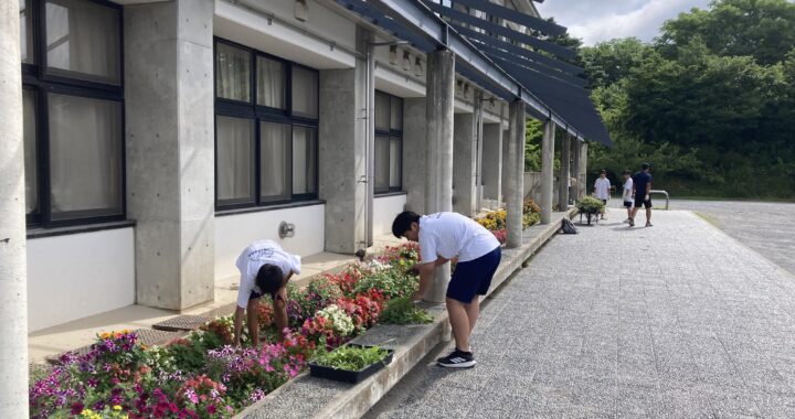「映える」花壇に♪