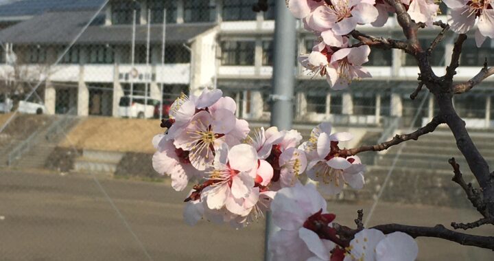 ３月３０日の学校