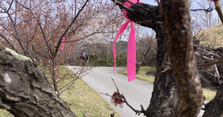 つなぐ命、守る想い 〜中庭の植栽引っ越し計画〜